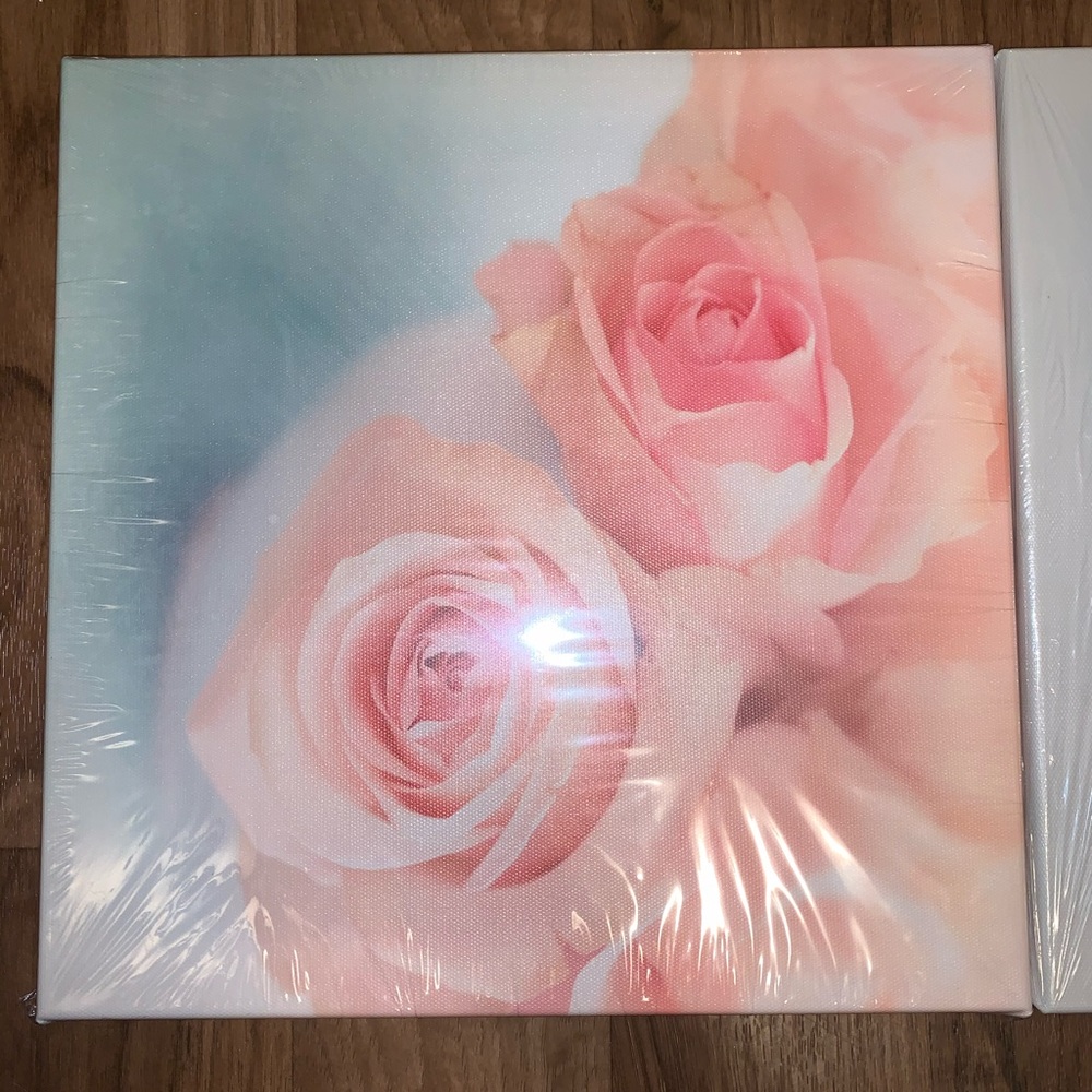 🌷Set of 3 - Pink Rose Printed Canvas.